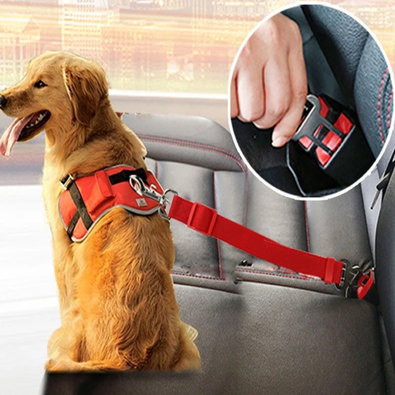 Verstellbarer Haustier-Autogurt – Sicherheitsgurt für Hunde & Katzen