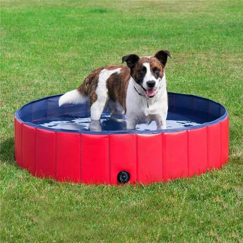Faltbarer Hundepool – tragbare PVC-Badewanne & Planschbecken