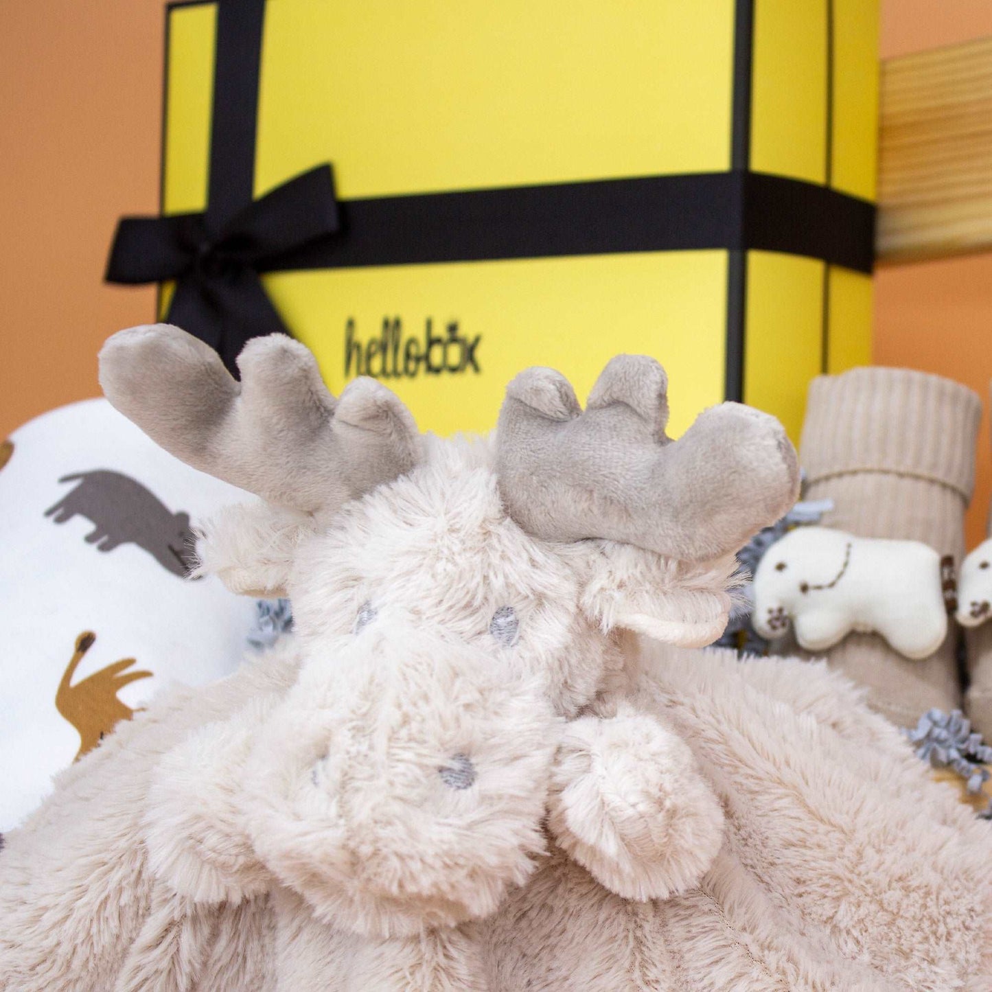 Baby Geschenkset zur Geburt – Junge & Mädchen