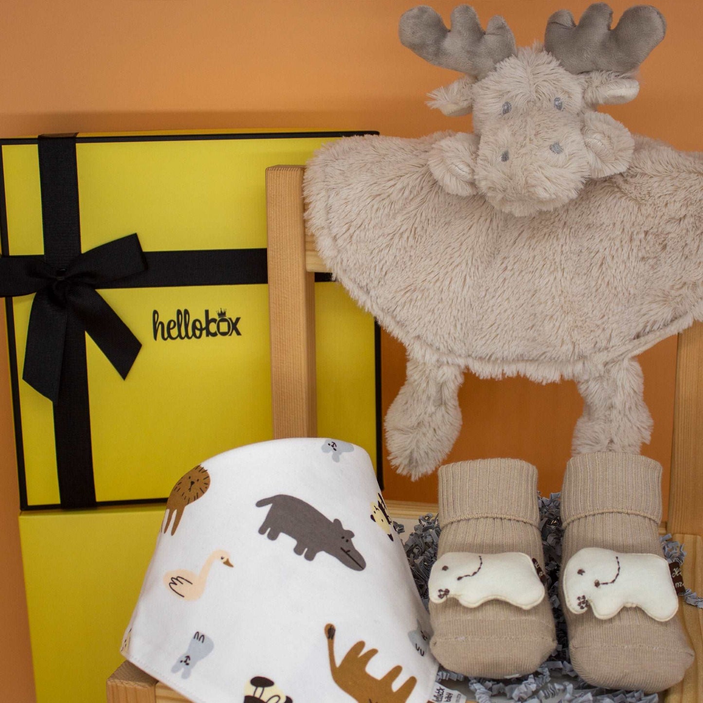 Baby Geschenkset zur Geburt – Junge & Mädchen